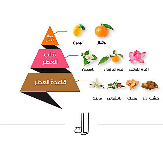 عطر ليال - 50 مل من الماجد للعود