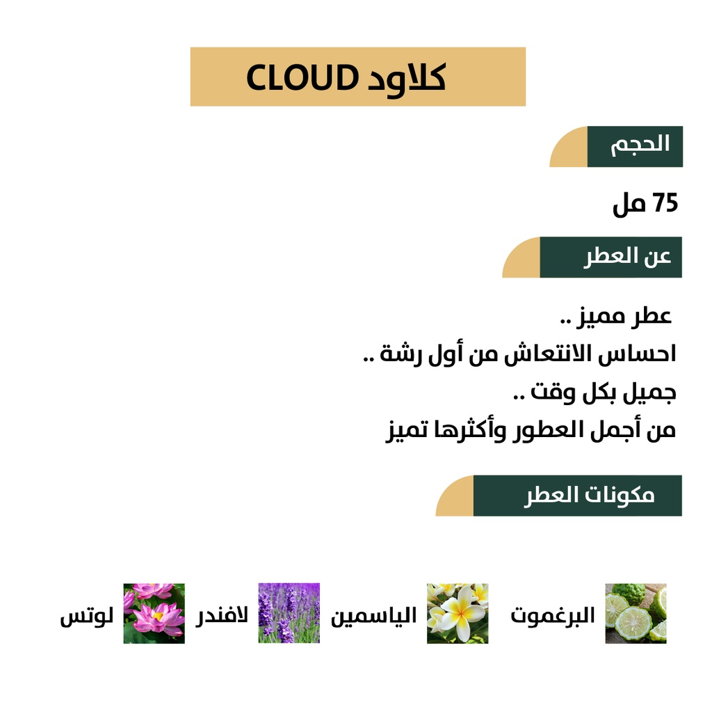 عطر كلاود - CLOUD من رسيس للعطور 75مل