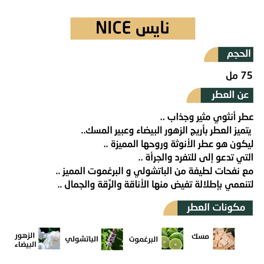 عطر نايس NICE من رسيس للعطور 75مل