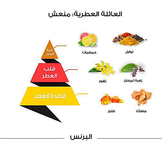 عطر البرنس كلاسيك - 100 مل من الماجد للعود